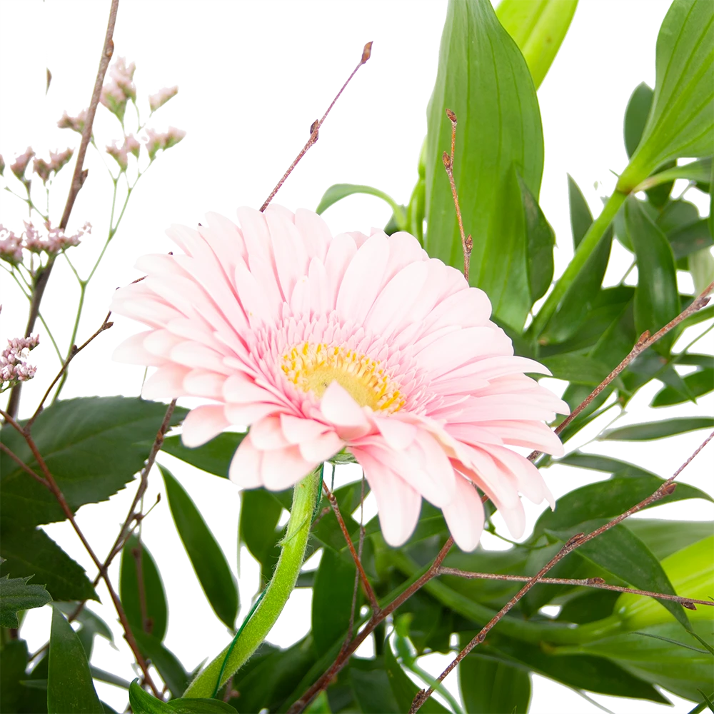 Boeket Roze Verrassing Middel 2 Boeket Roze Verrassing Middel - Afbeelding 2