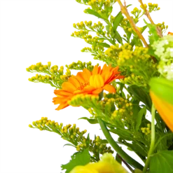 Boeket Seizoensgebonden Groot 7 Boeket Seizoensgebonden Groot -Goedkope Tuinbenodigdheden winkel boeket seizoensgebonden boeketten 3 1