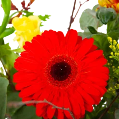 Boeket Speciale Verrassing Klein -Goedkope Tuinbenodigdheden winkel boeket speciale verrassing boeketten 3 1