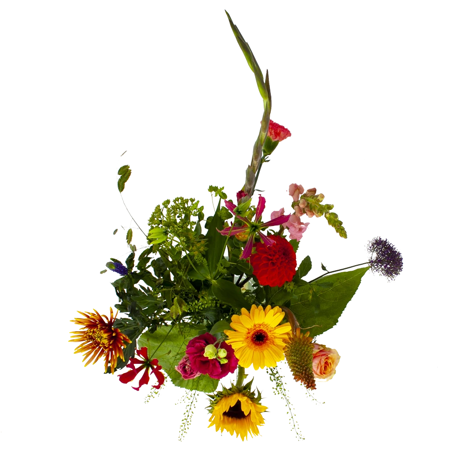 Boeket Vlinder Groot 2 Boeket Vlinder Groot - Afbeelding 2