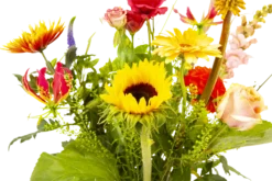 Boeket Vlinder Groot 8 Boeket Vlinder Groot -Goedkope Tuinbenodigdheden winkel boeket vlinder boeketten 3 3 2