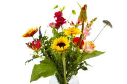 Boeket Vlinder Middel -Goedkope Tuinbenodigdheden winkel boeket vlinder boeketten 4 3 1