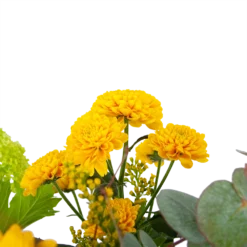 Boeket Vrolijk Geel Middel 6 Boeket Vrolijk Geel Middel -Goedkope Tuinbenodigdheden winkel boeket vrolijk geel boeketten 2