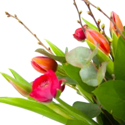 Boeket Vrolijk Roze Klein 7 Boeket Vrolijk Roze Klein -Goedkope Tuinbenodigdheden winkel boeket vrolijk roze boeketten 3 1