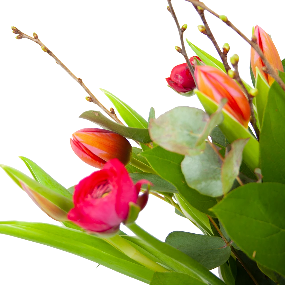 Boeket Vrolijk Roze Groot 3 Boeket Vrolijk Roze Groot - Afbeelding 3