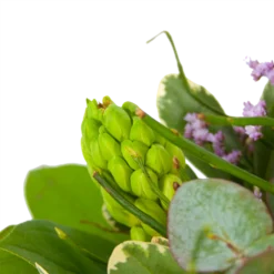 Boeket Vrolijk Seizoen Middel -Goedkope Tuinbenodigdheden winkel boeket vrolijk seizoen boeketten 3