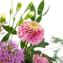 Boeket Vrolijke Verrassing Middel 7 Boeket Vrolijke Verrassing Middel -Goedkope Tuinbenodigdheden winkel boeket vrolijke verrassing boeketten 3 2