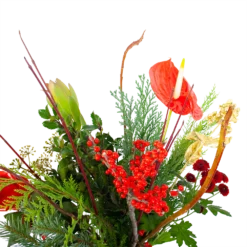 Boeket Winterpret Middel 7 Boeket Winterpret Middel -Goedkope Tuinbenodigdheden winkel boeket winterpret boeketten 3 1