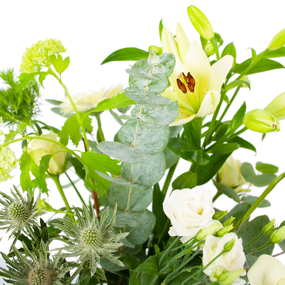 Boeket Wit Gebaar Klein 3 Boeket Wit Gebaar Klein - Afbeelding 3