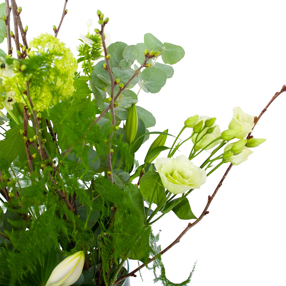 Boeket Witte Winter Groot 3 Boeket Witte Winter Groot - Afbeelding 3