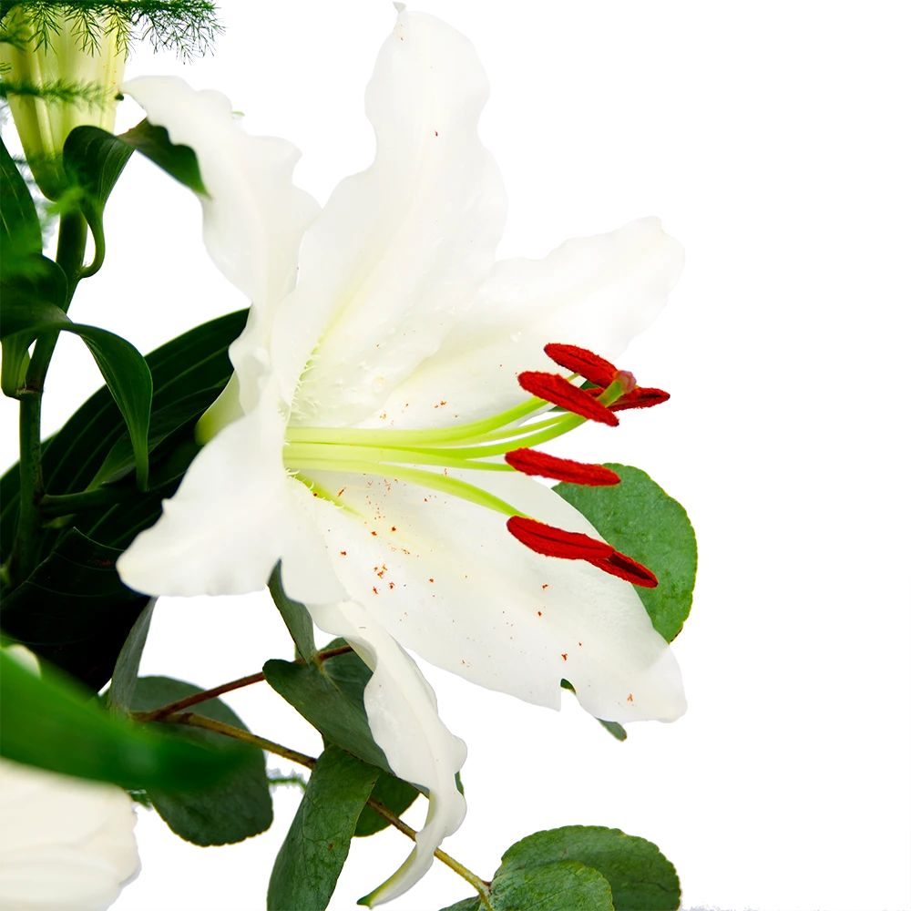 Boeket Witte Winter Groot 4 Boeket Witte Winter Groot - Afbeelding 4