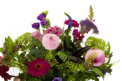 Boeket Zomerbries Klein 8 Boeket Zomerbries Klein -Goedkope Tuinbenodigdheden winkel boeket zomerbries boeketten 3 5 2