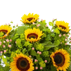 Boeket Zonnestraal Groot 8 Boeket Zonnestraal Groot -Goedkope Tuinbenodigdheden winkel boeket zonnestraal boeketten 3 3 1