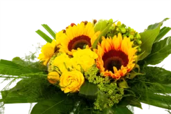 Boeket Zonnetje Klein 8 Boeket Zonnetje Klein -Goedkope Tuinbenodigdheden winkel boeket zonnetje boeketten 3 1 1