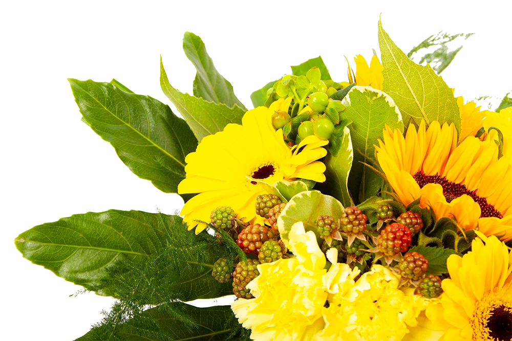 Boeket Zonnetje Klein 4 Boeket Zonnetje Klein - Afbeelding 4