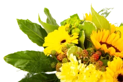 Boeket Zonnetje Groot 9 Boeket Zonnetje Groot -Goedkope Tuinbenodigdheden winkel boeket zonnetje boeketten 4 1 2